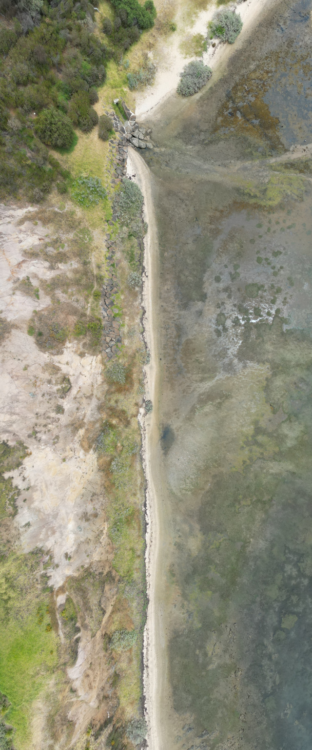 Water meets the land (Portarlington)