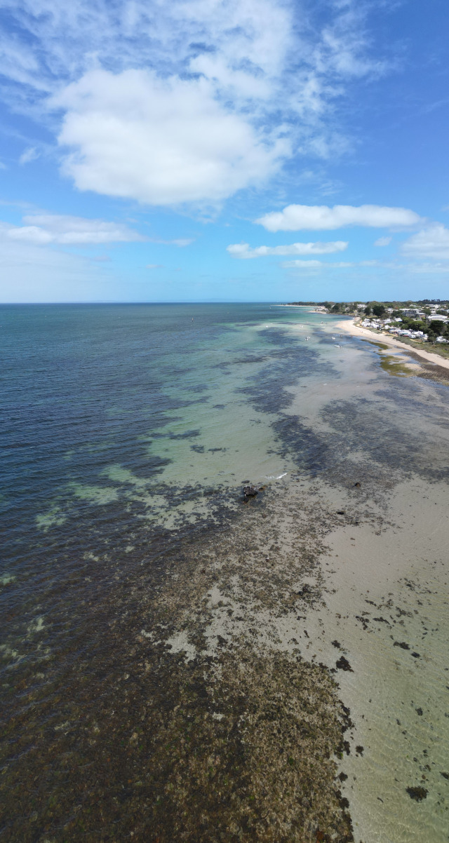 Portarlington coast