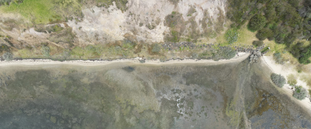 Water meets the land (Portarlington)