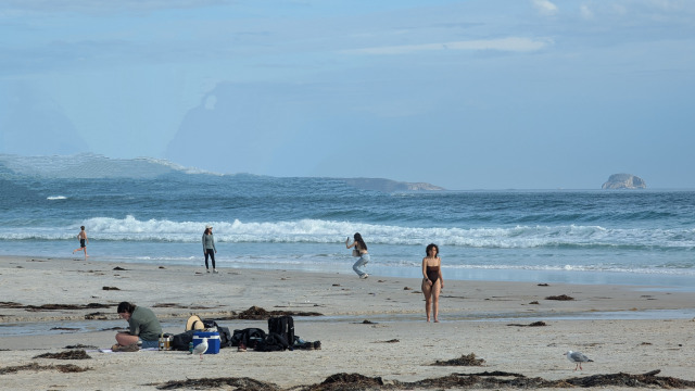 PXL_20240924_060358883~3 PXL_20240924_060358883~3