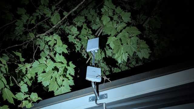 PXL_20241210_121933663 PXL_20241210_121933663