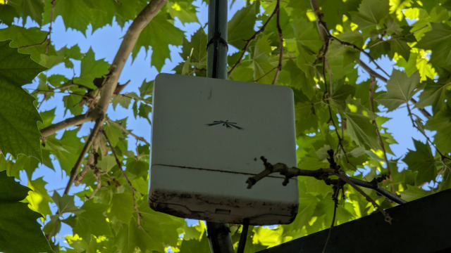 PXL_20241210_234752930 PXL_20241210_234752930